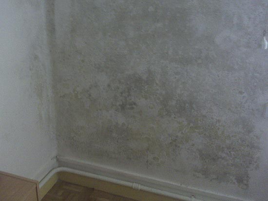 Humedades por condensación en paredes interiores

